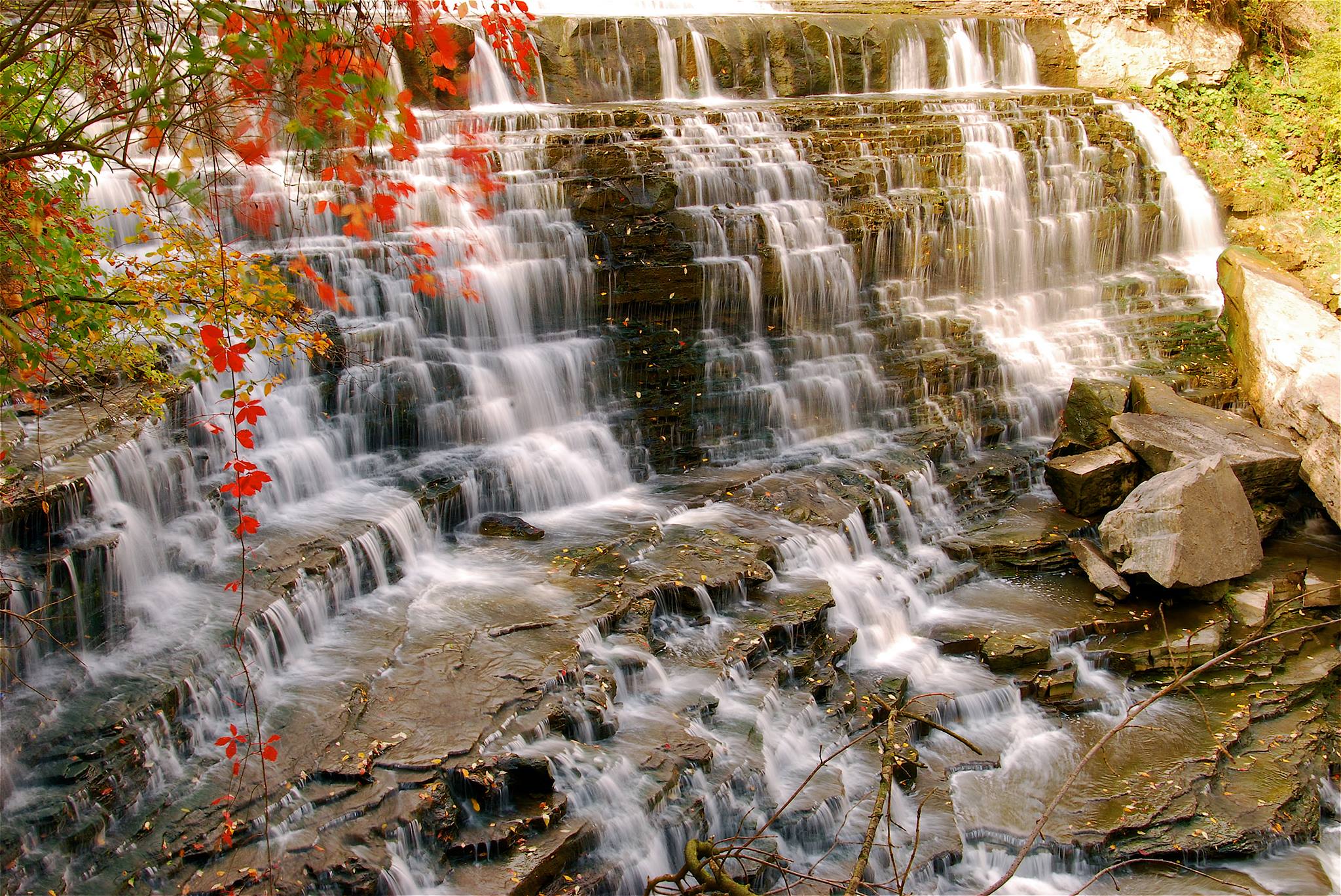 آبشار آلبیون Albion falls
