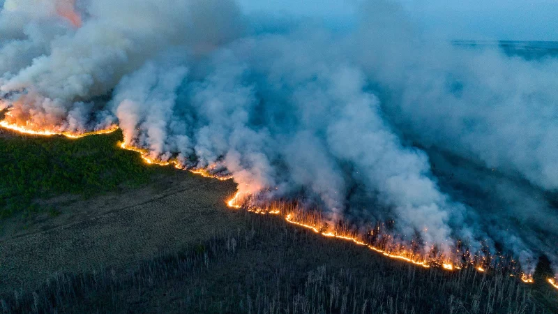 همه چیز در مورد آتش سوزی های کانادا