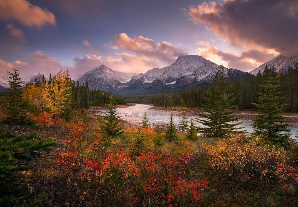 Jasper National Park