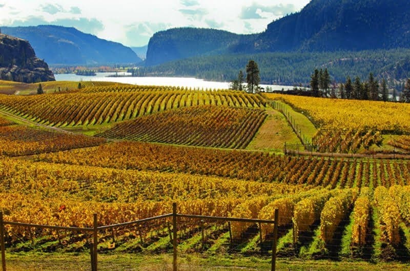 Okanagan Valley