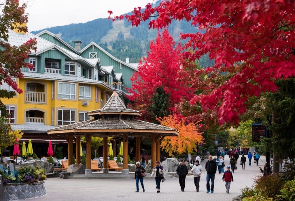 Whistler