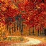top-20-places-in-fall-canada