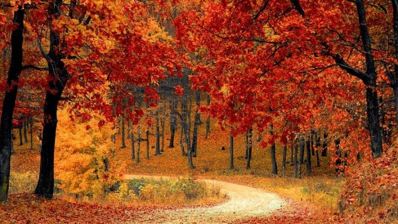 top-20-places-in-fall-canada