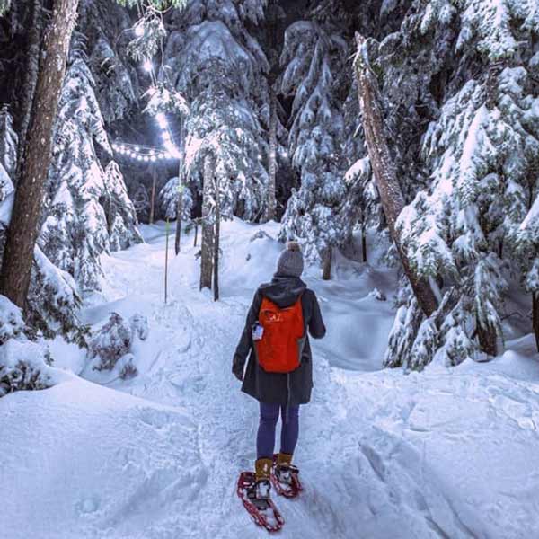 Cypress Mountain Lights-to the Lodge