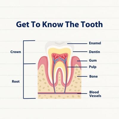 مطب دندان‌پزشکی نادر ابریشمکار|تورنتو