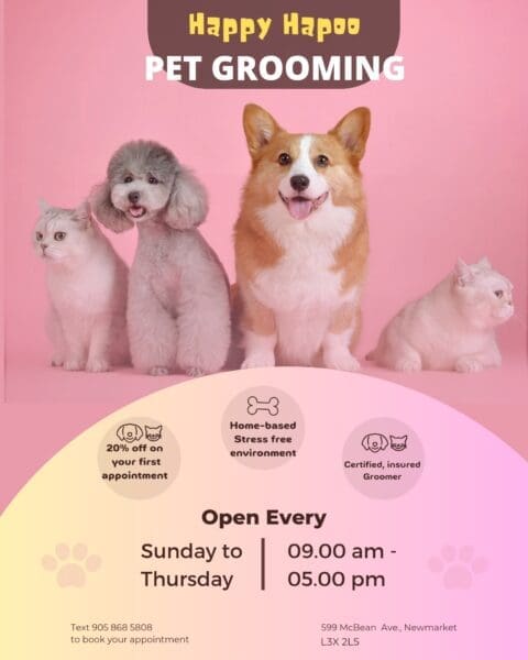 Happy Hapoo Pet Grooming